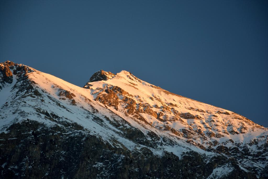 Ferienwohnungen Chesa Clois 24 Lenzerheide Kültér fotó